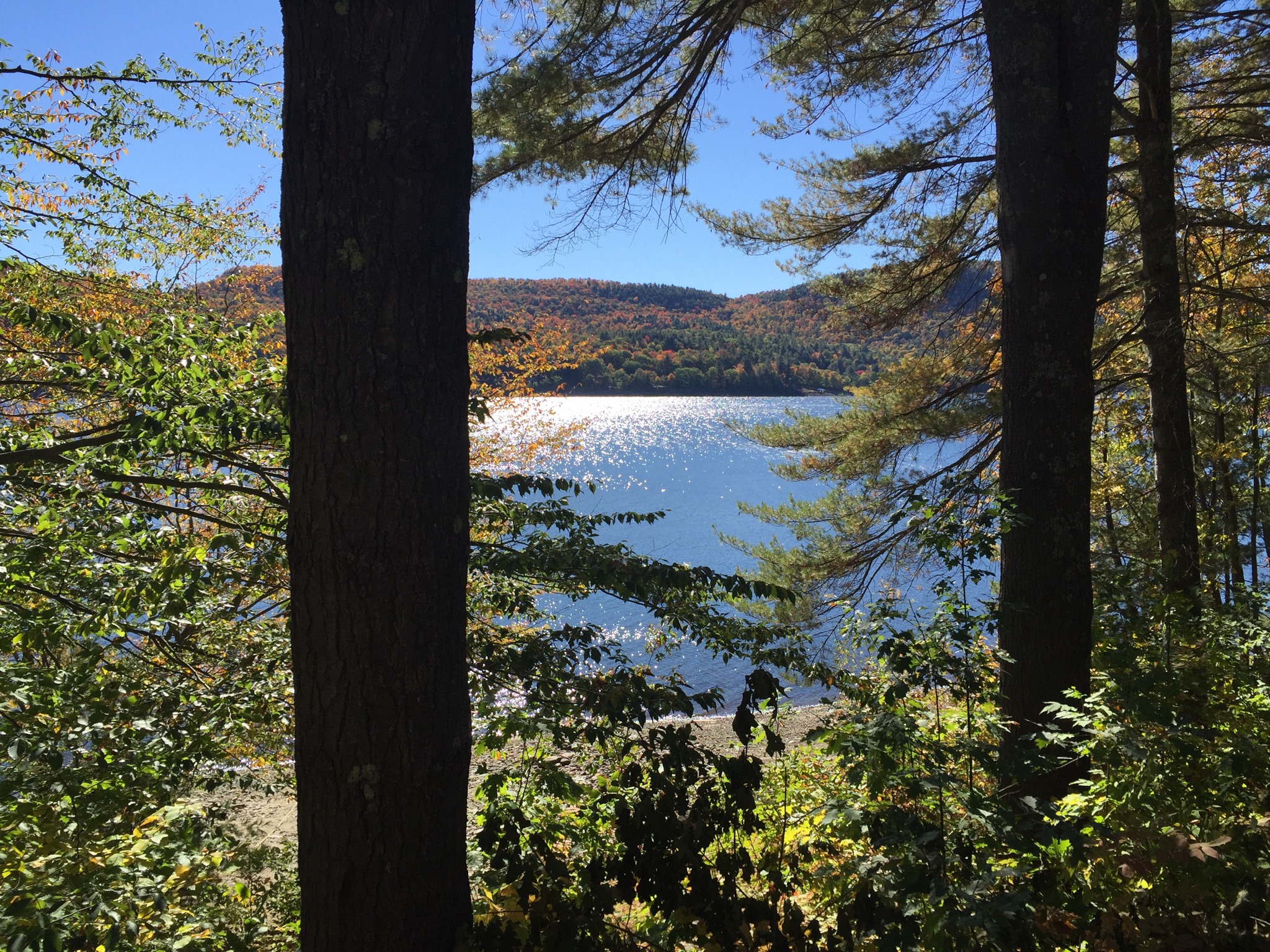 Real Estate Service in the Southern Adirondack Area Adirondack